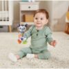 Vtech Baby Dierenvriendjes Rammelaar Zebra