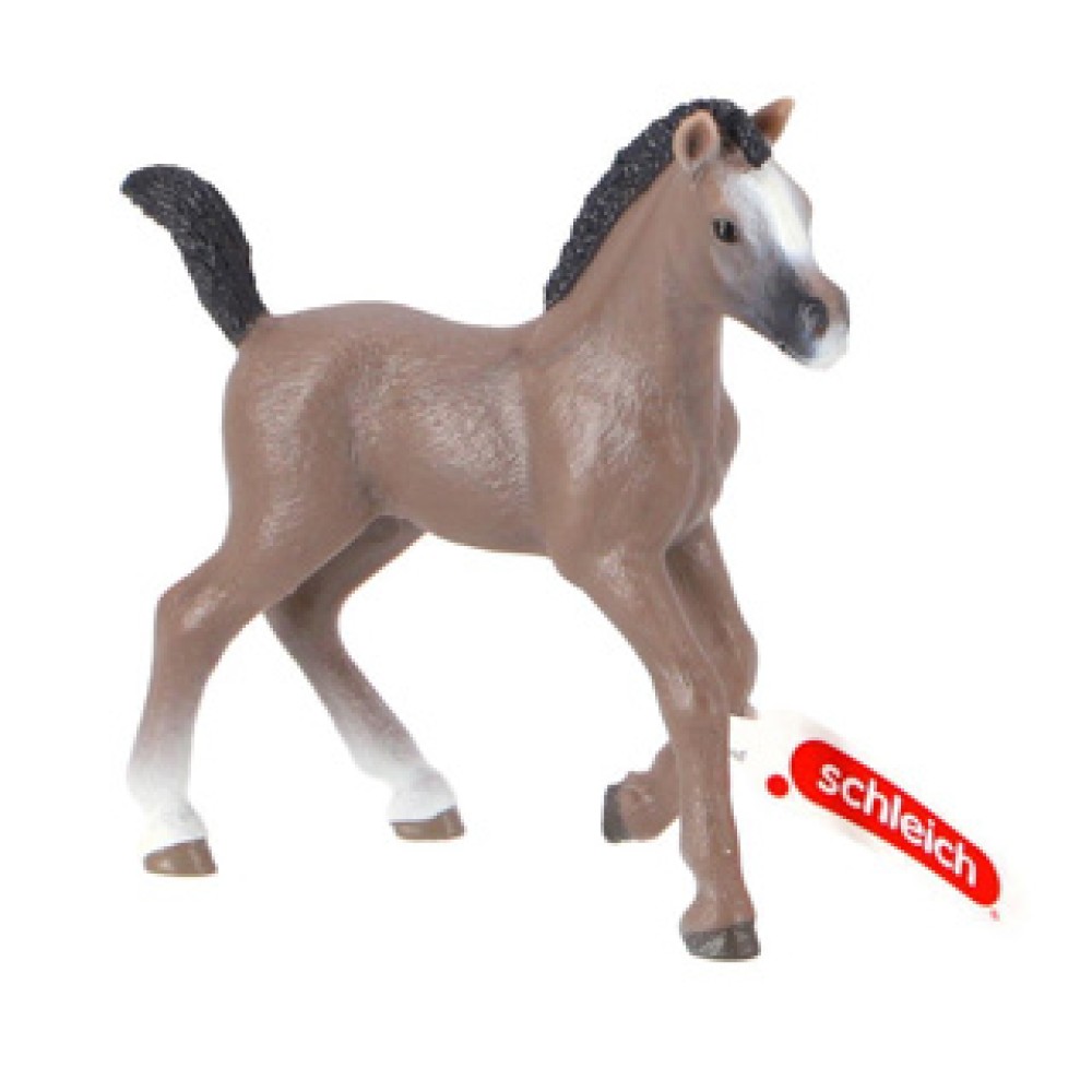 Schleich 13957 Cheval de Selle Francais Veulen - Afbeelding 3