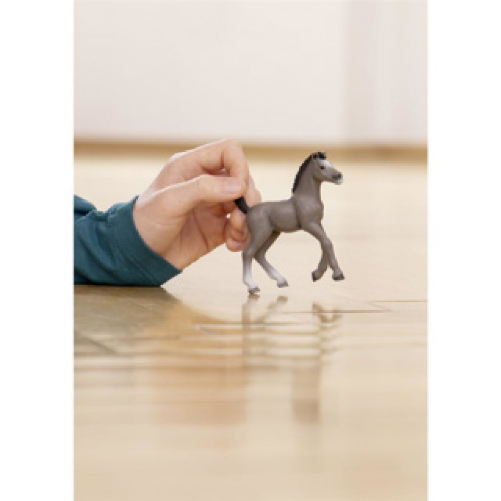 Schleich 13957 Cheval de Selle Francais Veulen - Afbeelding 5