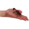 Schleich 14858 Chameleon