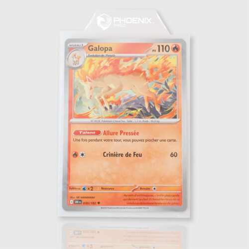 Card Sleeves X100 Sleeved Tabs Bag