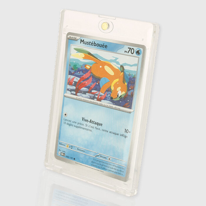 Magnetic Card Case (Bags Of 5 Units)