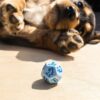 Dogs Dice Set - Max