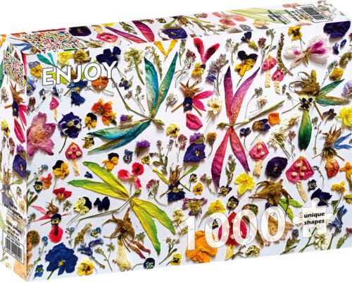 Fairies and Dragonflies (1000)