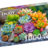 Succulents (1000)
