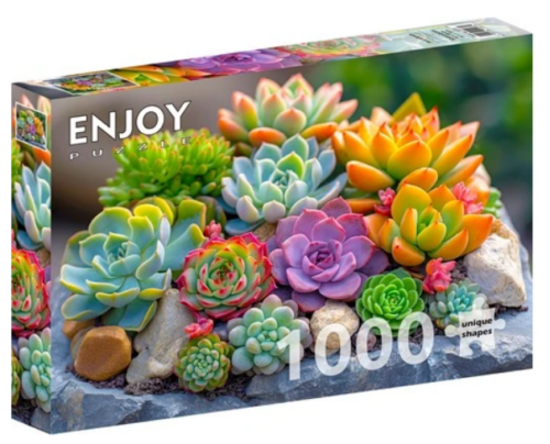 Succulents (1000)