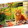Country Kitchen Kitty (1000)