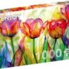 Tulip Garden (1000)