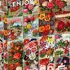 Vintage Flower Seed Catalog Collage (100