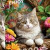 Cat in Bloom (1000)
