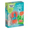 Wetenschap anatomie squishy