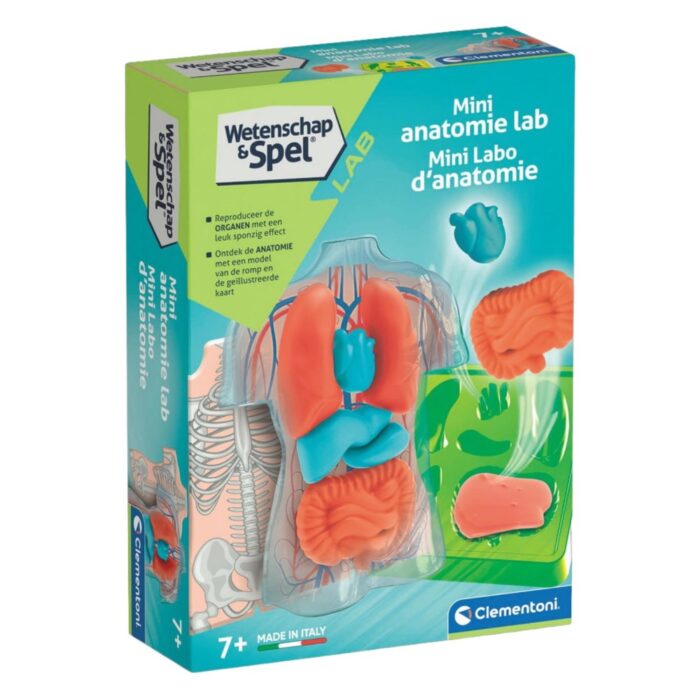 Wetenschap anatomie squishy