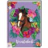 Boek Vriendenboek Paarden