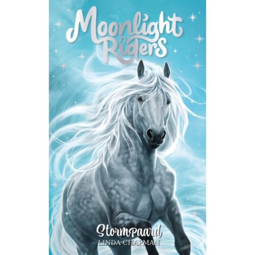 Boek Moonlight Riders 2 Stormpaard