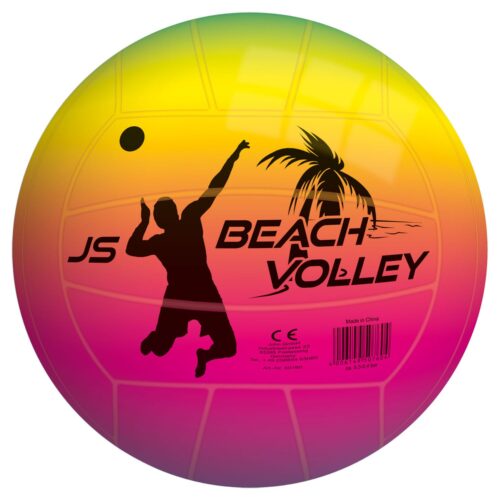 Beachvolleyball Rainbow Palm
