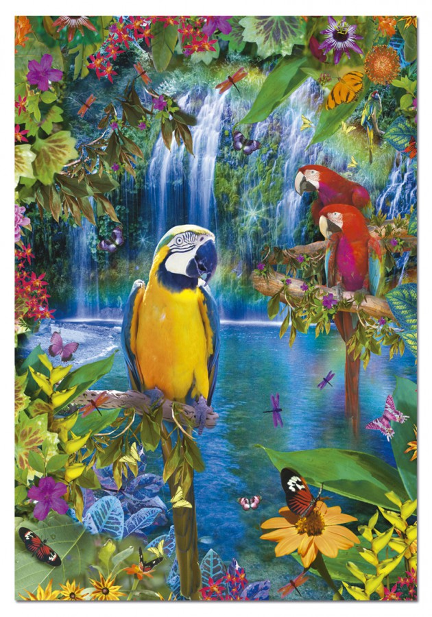 Bird Tropical Land (500)