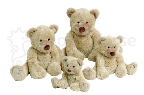 Bear Boogy no. 1
