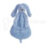 Deep Blue Rabbit Richie Tuttle