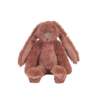 Tiny Rusty Rabbit Richie