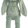 Green Rabbit Richie Musical