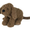 Labradoodle Larry no. 1