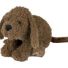 Labradoodle Larry no. 2