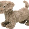 Dachshund Duke no. 2