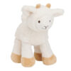 Churro Sheep no. 2