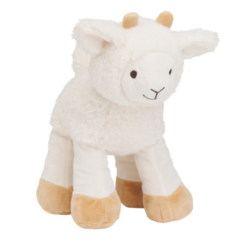 Churro Sheep no. 2