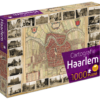 Cartografie Haarlem (1000)
