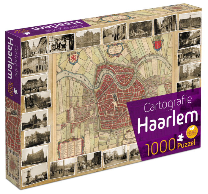 Cartografie Haarlem (1000)