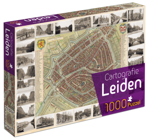 Cartografie Leiden (1000)