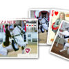 Lipizzaner Speelkaarten - Double Deck