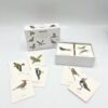 Vogels van de Lage Landen - Memospel