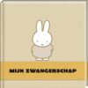 Nijntje - Mijn Zwangerschap