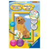 Schilderen Op Nummer - Lieve Puppy