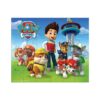 Paw Patrol Spellenpakket