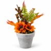 Herfstdecoratie in pot 21 cm