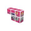 Paw Patrol MagiCube Skye