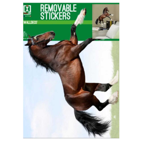 Paard Muursticker