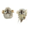 Uil polyester feathers 2 assorti (assortiment – willekeurige uitvoering)