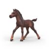 Schleich 81479 Collectible Foal Ravi
