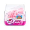 Pets Alive Zwemmende Axolotl Assorti (assortiment – willekeurige uitvoering)